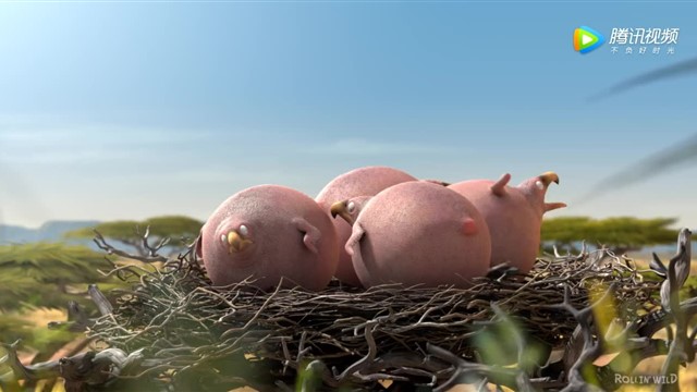 秃鹰篇